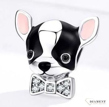 Charms Moments srebrny 925 Chihuahua DIA-CHA-11714-925. Srebrny charms do bransoletki modułowej. Charms srebrny do bransoletki typu Pandora. Srebrny charms na prezent. Charms srebrny zawieszka do bransoletki..jpg